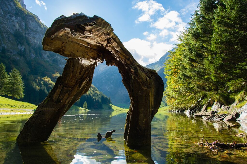 seealpsee, water, nature-1943805.jpg