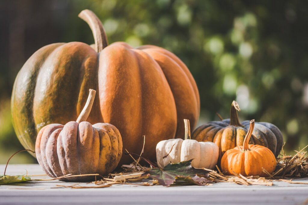 pumpkins, autumn, 4k wallpaper 1920x1080-4528653.jpg